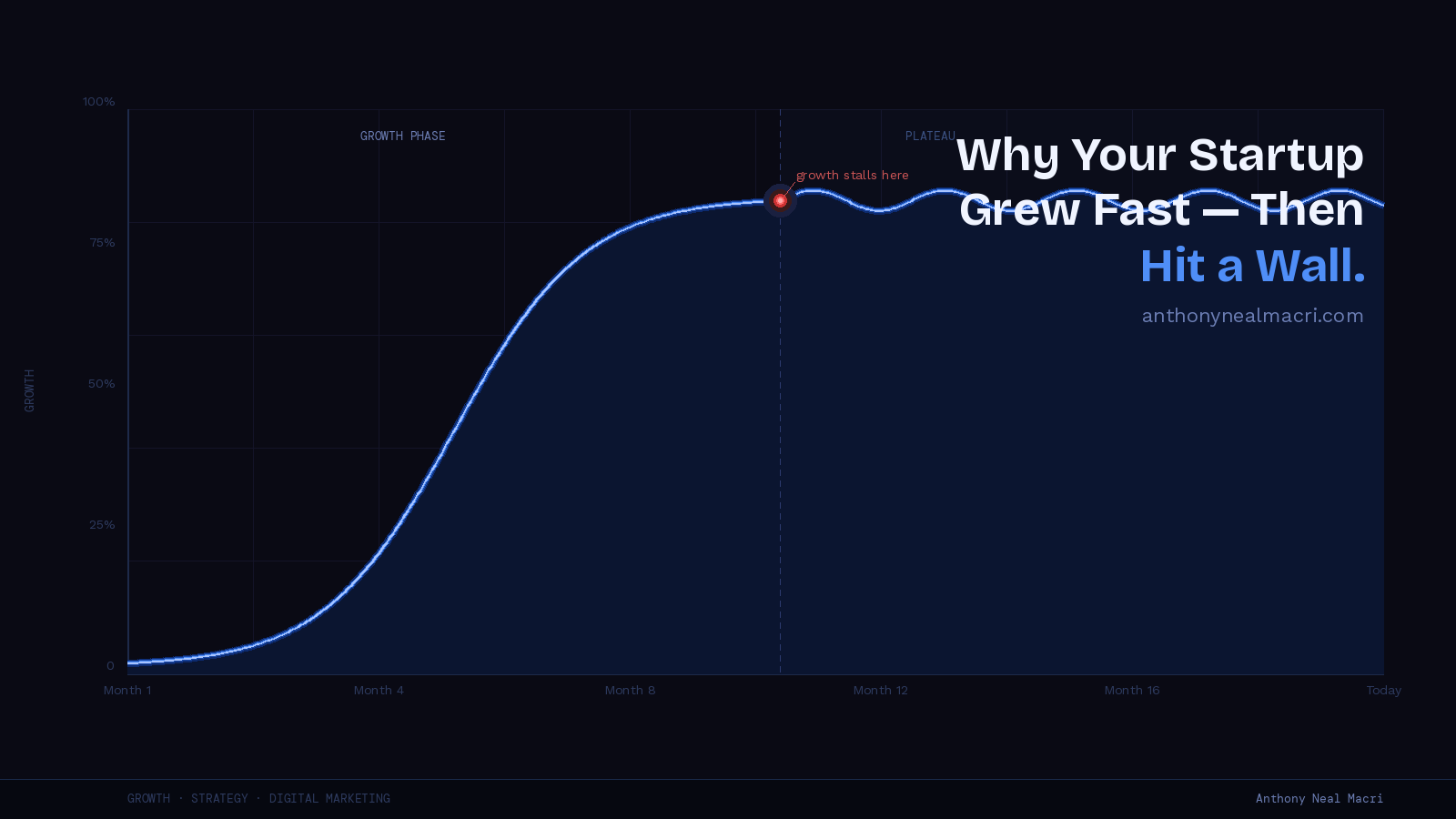Line chart showing startup growth rising sharply then plateauing, illustrating the concept of startup growth stalling after early traction